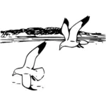 Pescarusi hering în zbor vector illustration