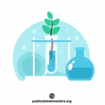 Vetenskapliga experiment på växter