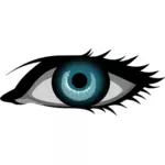 Dessin vectoriel de bleu œil féminin