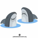 Žraloci ve vodě
