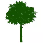 Ícone verde árvore