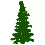 Pine siluett
