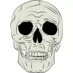 Ilustración de vector de cráneo humano verdadero