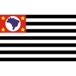 Bandeira de Sao Paulo drapeau image vectorielle