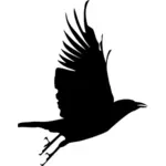 Crow fliegen Kontur-Vektor-Bild