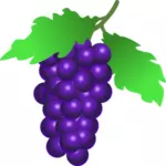 Иллюстрация Vestor спелый виноград