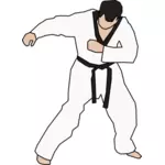 Taekwondo bojovník