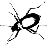 Gambar monokrom bug