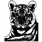 मोनोक्रोम बाघ की छवि