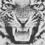 Рычащий Тигр