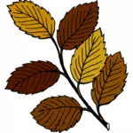 Осенние листья на филиал векторное изображение