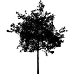 Silueta Vektor Klipart z vysokého stromu