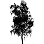Siluettivektorikuva täyskruunuinen puun latva