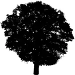 צללית בתמונה וקטורית של סביבון עץ רבודה
