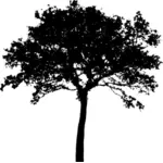 Imágenes Prediseñadas vector silueta de la parte superior del árbol abierto