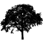 轮廓矢量图形传播树的形式
