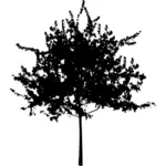 Распространение дерево силуэт векторное изображение