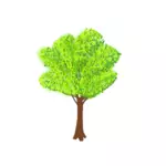 Träd vektor illustration