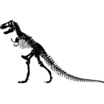 T-Rex скелет векторное изображение