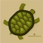 Tartaruga verde clipart