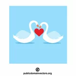 Two swans in love