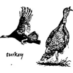 Zeichnung der Türkei in Maptize filter