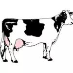 בתמונה וקטורית של פרה מלאים חלב