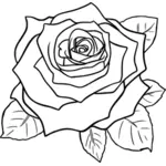 Rosa incoloro vintage