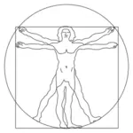 Man van Vitruvius vector afbeelding