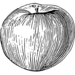 Линия Искусство черно-белые apple векторные картинки