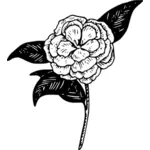 Camellia kukka vektori clipart