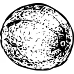 Cantaloupemelon vektor illustration