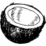 Векторные иллюстрации половина значка плод кокоса