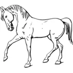 Walking horse linie umění vektorové kreslení