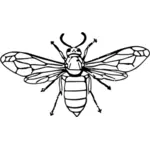 WASP ilustrace