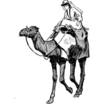 一只骆驼上的女人的矢量图像